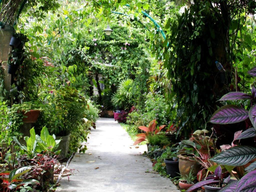 Rommai Rimnaam Resort Ranong Exterior photo